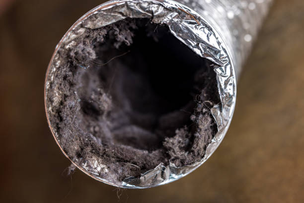 Best Residential Air Duct Cleaning  in Bridge City, LA